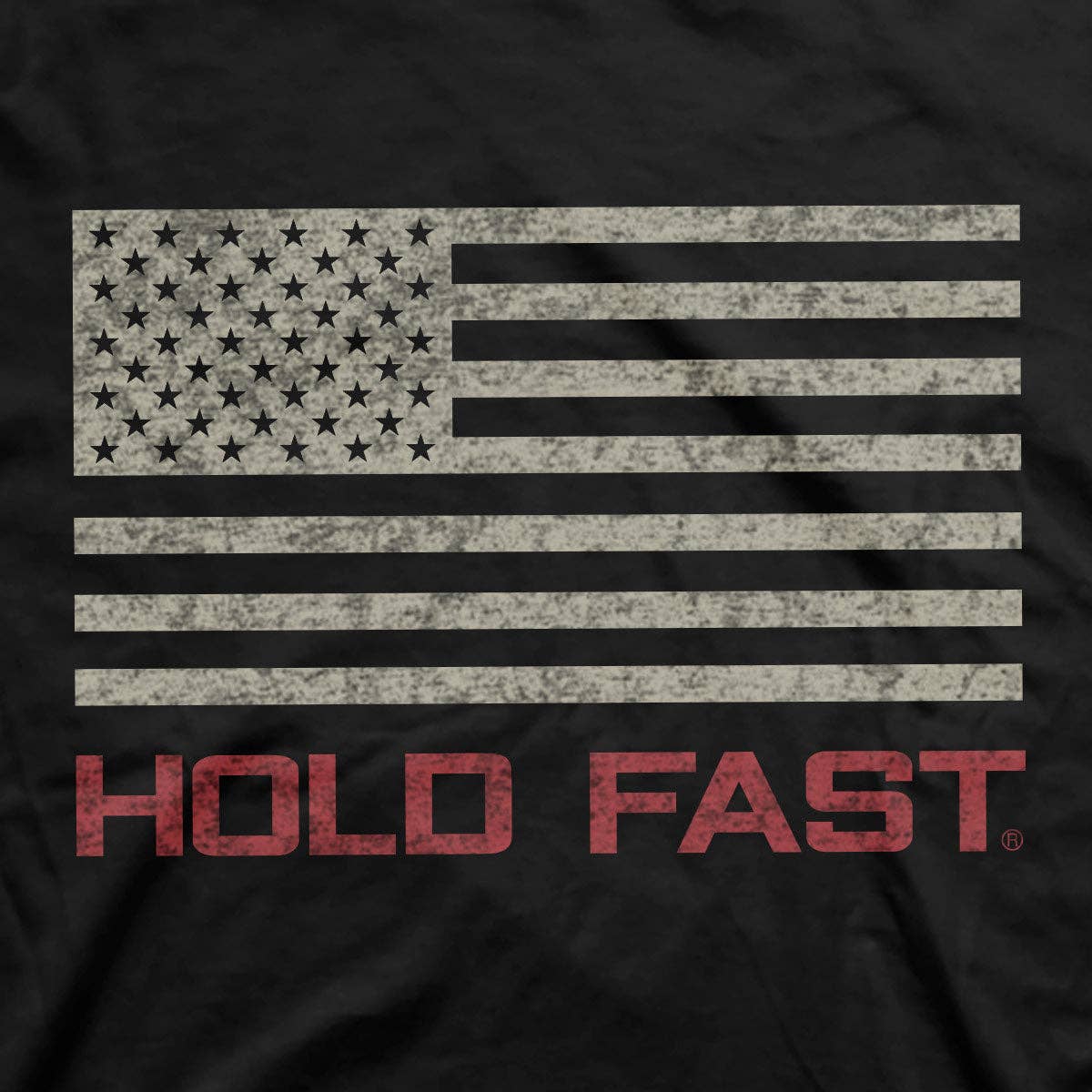 HOLD FAST Mens T-Shirt Freedom Fighter Eagle