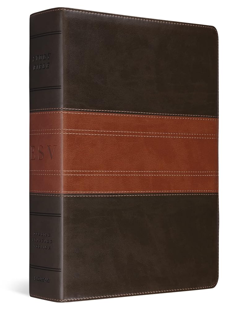 ESV Study Bible, Large Print (TruTone, Forest/Tan, Trail Design) cover image