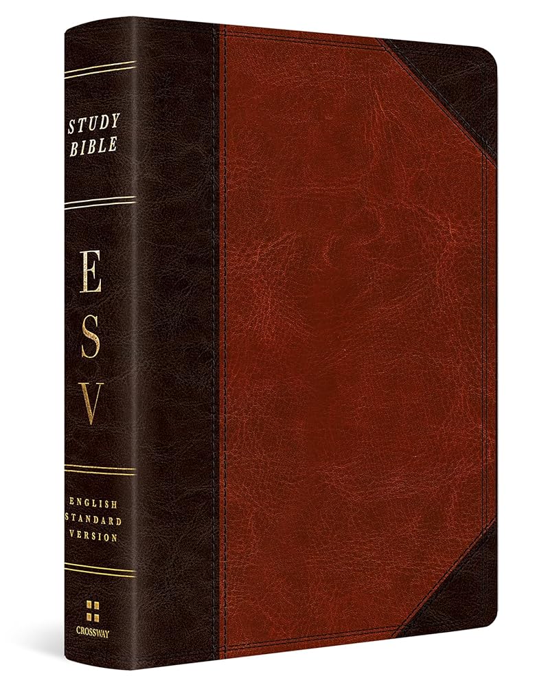 ESV Study Bible, Personal Size (TruTone, Brown/Cordovan, Portfolio Design): Holy Bible, English Standard Version cover image