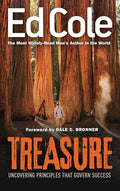 Treasure: Uncovering Principles That Govern Success cover image